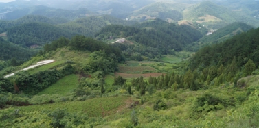 【湖北】鄖縣萬綠湖項(xiàng)目前期考察順利結(jié)束