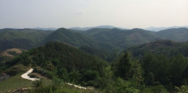 【湖北】十堰鄖縣萬綠湖項目策劃規(guī)劃合同簽訂