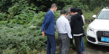 【湖北】洪湖生態(tài)旅游風(fēng)景區(qū)項目前期考察順利結(jié)束