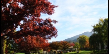 美國之行：San Francisco（二）